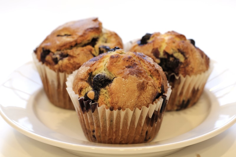 Chocolate Muffin